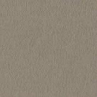 Gris foncé