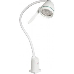 Lampe d'examen LED lumière froide Teamalex Medical