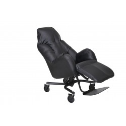 Fauteuils à pousser LIBERTY e II- EBENE innov teamalex