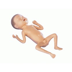 Mannequin nourrisson prématuré 24 semaines