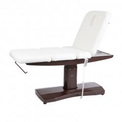 Table de massage électrique SPA multifonctions Marylin Teamalex Medical