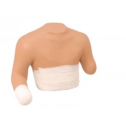 mannequin_de_bandage_des_moignons_supérieurs