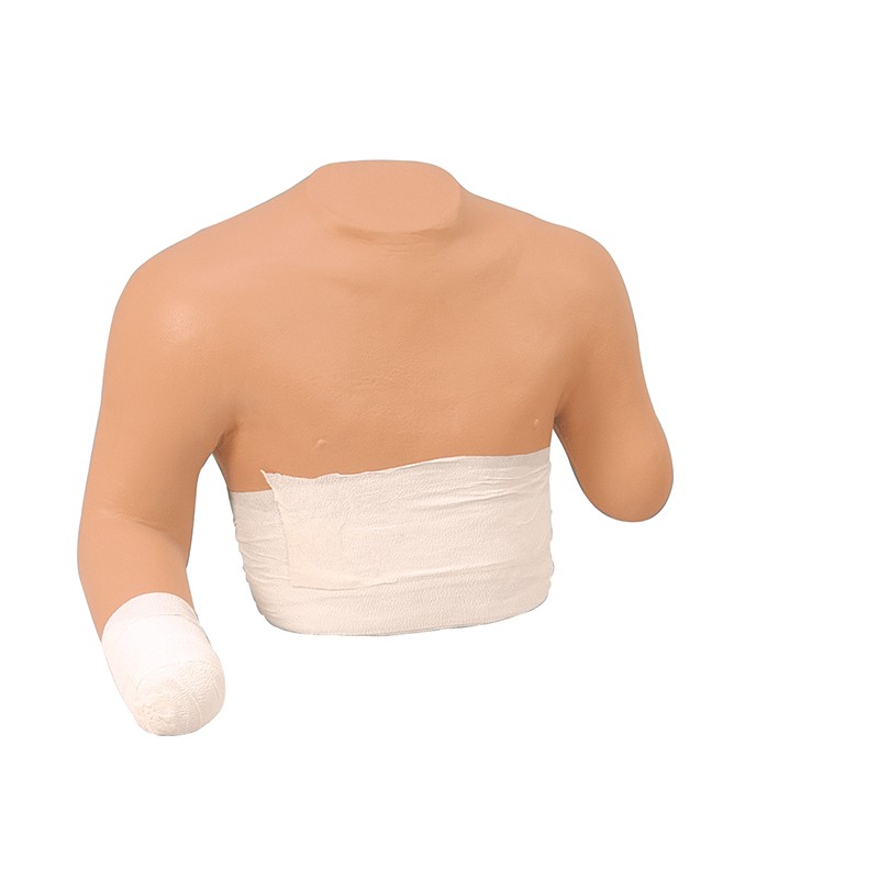 mannequin_de_bandage_des_moignons_supérieurs