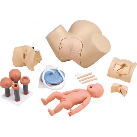 Modèle Squelette Humain à Assembler - Jouet éducatif Enfant, Simulation Anatomique