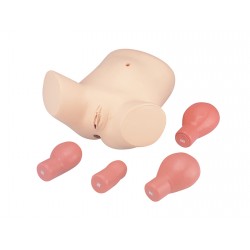 Modèle d'examen et de soins...