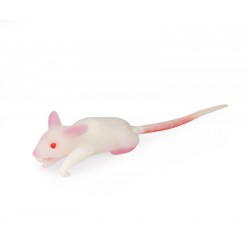 Simulation souris