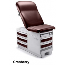 table d'examen ritter 204 coloris cranberry