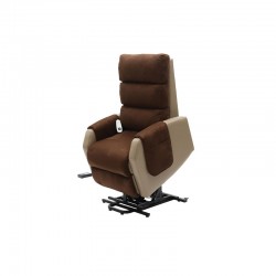 Fauteuil en position releveur 821031 Teamalex