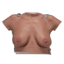 Modèle de palpation mammaire avec attaches Teamalex