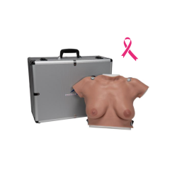 Modèle de palpation mammaire Teamalex Medical