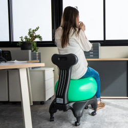 Chaise ergonomique avec ballon Tonic Chair Originale vue de dos teamalex