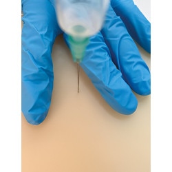 Simulateur d'injection intramusculaire sur petit animal Teamalex Medical