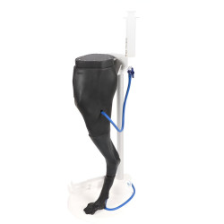 Simulateur de ponction veineuse et IM sur membre postérieur de chien Teamalex Medical