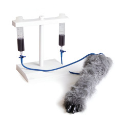 Simulateur d'injection intraveineuse sur membre antérieur de chien Teamalex Medical