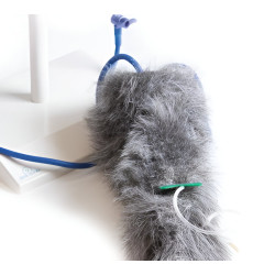 Simulateur d'injection intraveineuse sur membre antérieur de chien Teamalex Medical