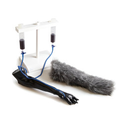 Simulateur d'injection intraveineuse sur membre antérieur de chien Teamalex Medical
