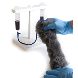 Simulateur d'injection intraveineuse sur membre antérieur de chien Teamalex Medical