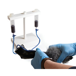 Simulateur d'injection intraveineuse sur membre antérieur de chien Teamalex Medical