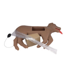 Modèle de chien pour entrainement RCR Teamalex Medical