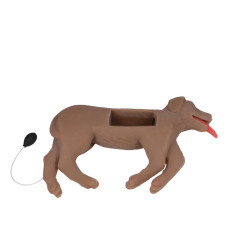 Modèle de chien pour entrainement RCR Teamalex Medical