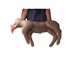 Modèle de chien pour entrainement RCR Teamalex Medical