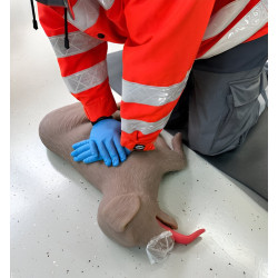 Modèle de chien pour entrainement RCR Teamalex Medical