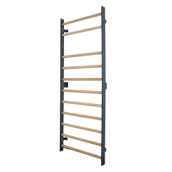 Espalier Suédois Kinova Pro Teamalex Medical