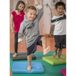 Balance Pad Elite Airex teamalex medical
