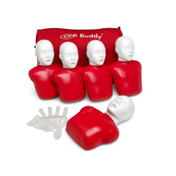 5 torses adulte Basic Buddy Ambu teamalex medical