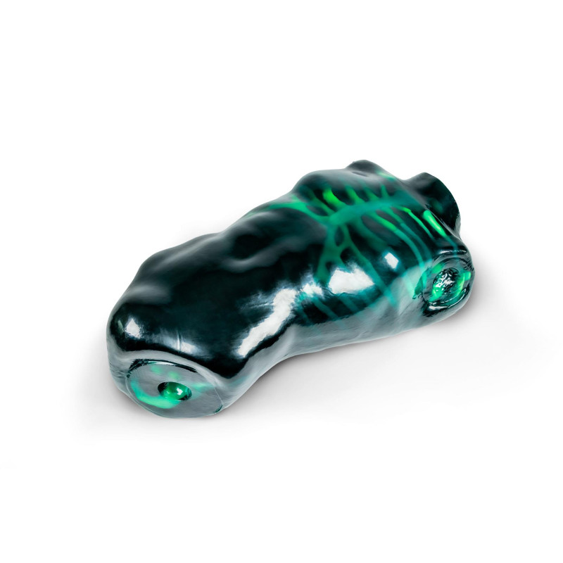 Echo Eddie – Simulateur d’échographie teamalex medical