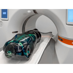 Echo Eddie – Simulateur d’échographie exemple teamalex