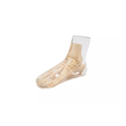 Fantôme test radiographie pied transparent 7230 teamalex Fantôme test radiographie pied transparent 7230 teamalex