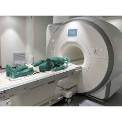 Mannequin adulte corps entier pour X-Ray pour scanner teamalex Mannequin adulte corps entier pour X-Ray pour scanner teamalex