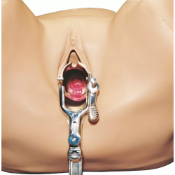 Simulateur gynécologique R10186