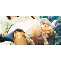 Simulateur d’accouchement de base Lucy – Obstétrique teamalex