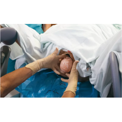 Simulateur d’accouchement de base Lucy – Obstétrique teamalex