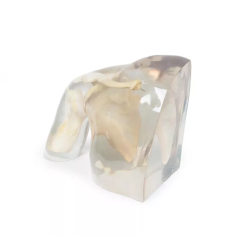 Fantôme radiographie épaule transparent teamalex medical