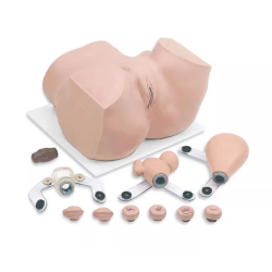 Simulateur de gynécologie teamalex medical R10182