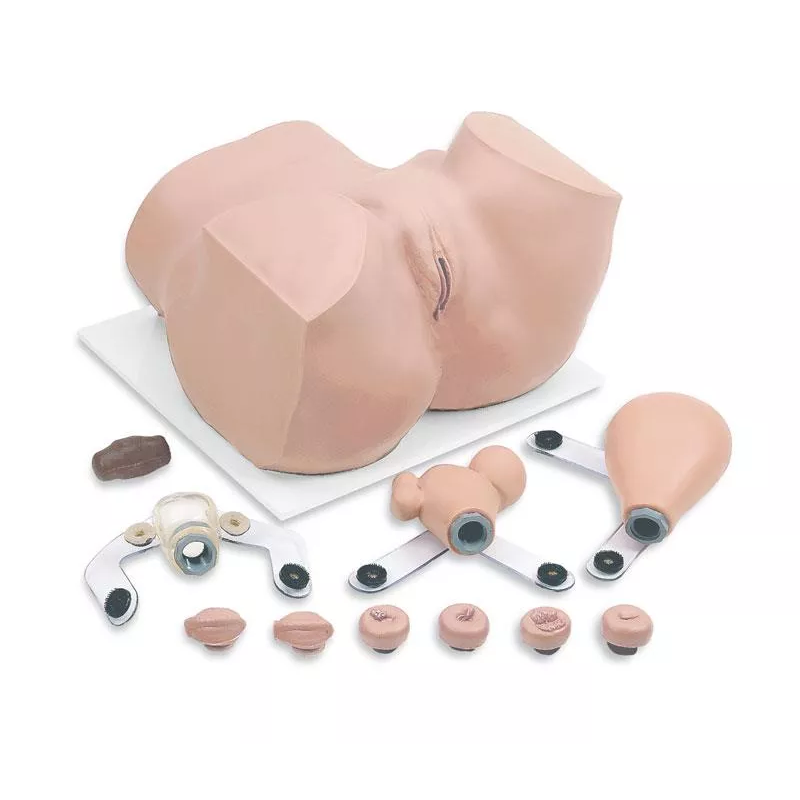 Simulateur de gynécologie teamalex medical R10182