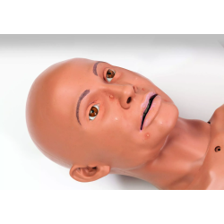 DANi Teenager & jeunes adultes LF4502