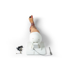 Simulateur médical – Jambe atteinte de pathologies Teamalex