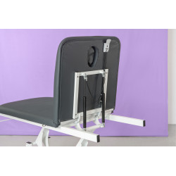 Table d'examen multifonctions 1 moteur