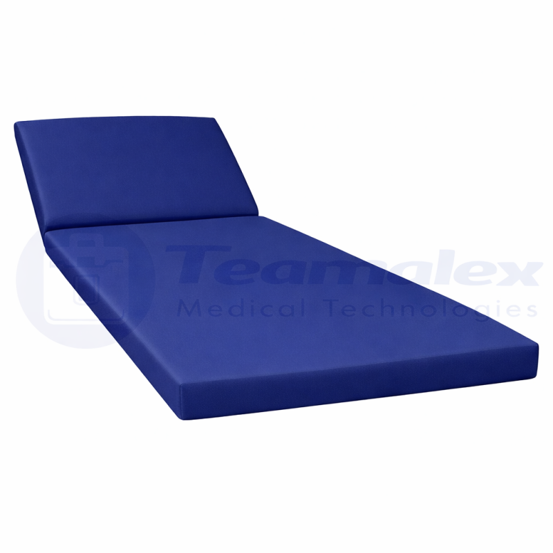 Sellerie plate Promotal saphir teamalex medical