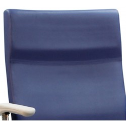 dossier Fauteuil médical polyvalent XXL bariatrique teamalex